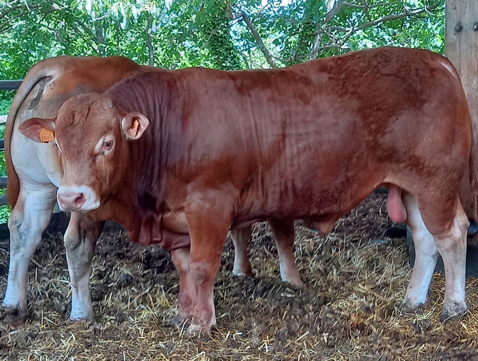 Bauernhof hero 4