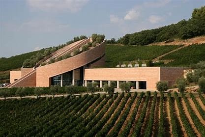 Wein