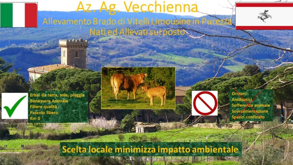 Poster Vecchienna